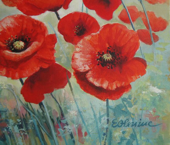 Poppies