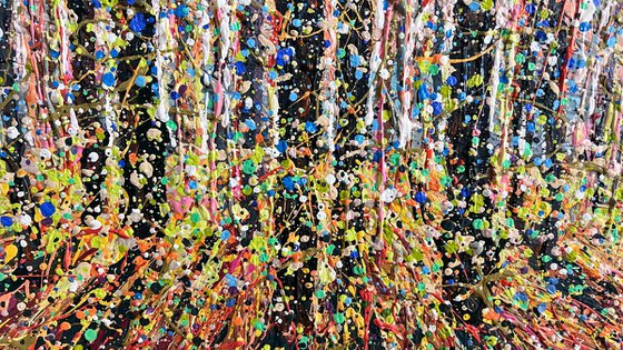 The Forest’s Gentle Song