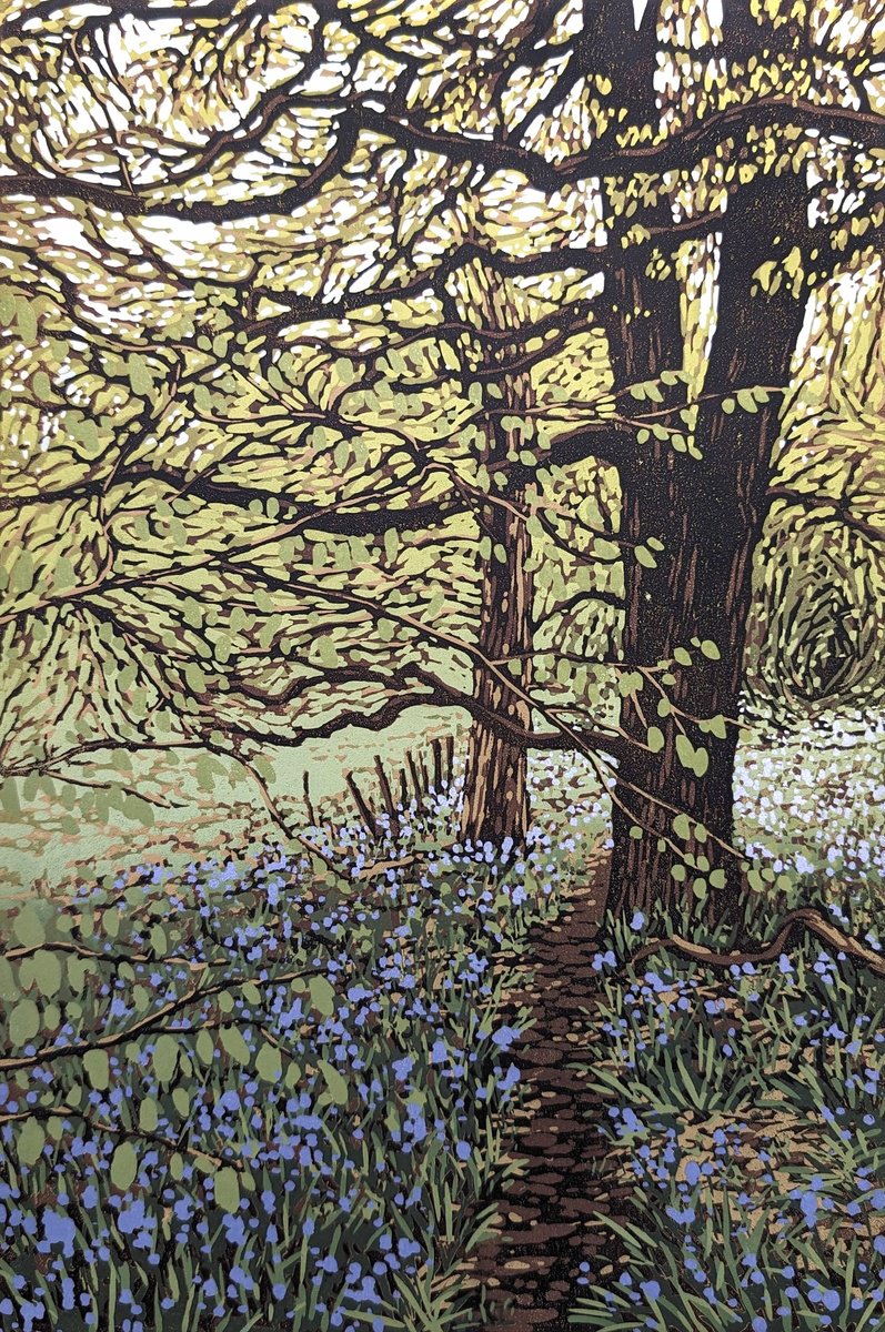 Bluebell Memories by Alexandra Buckle