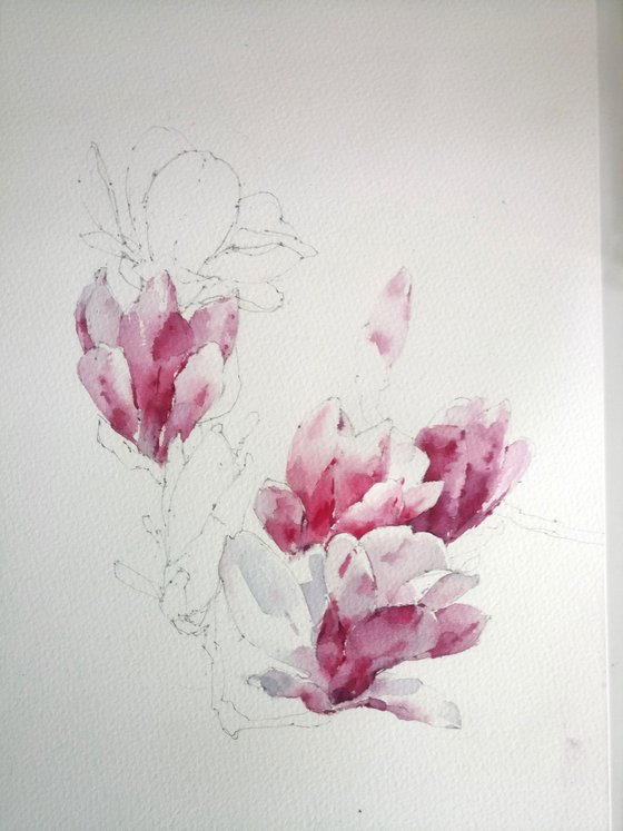 Magnolias. A moment of bloom