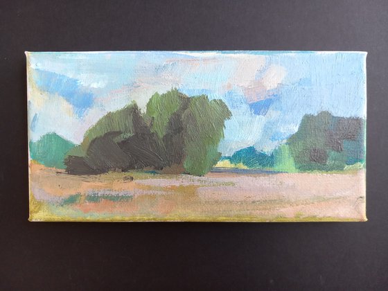 Longrun Meadow