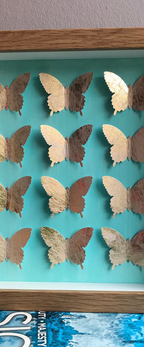 Box of beauties (Gold) by Hernan Reinoso