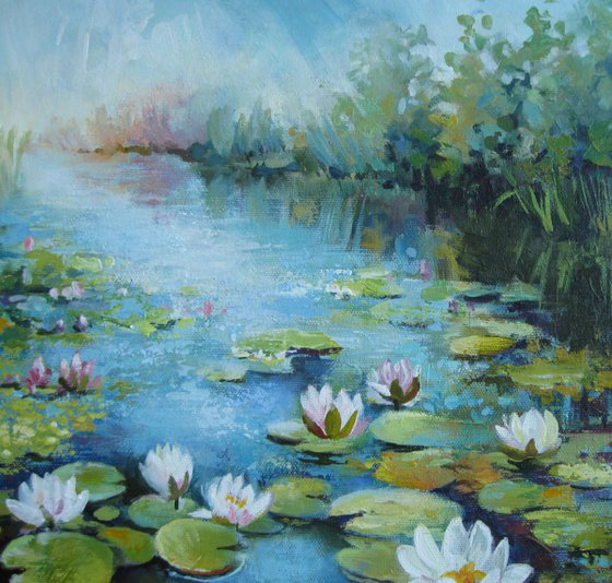 Waterlily pond