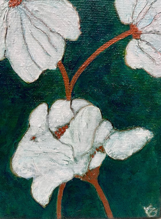 Flowering