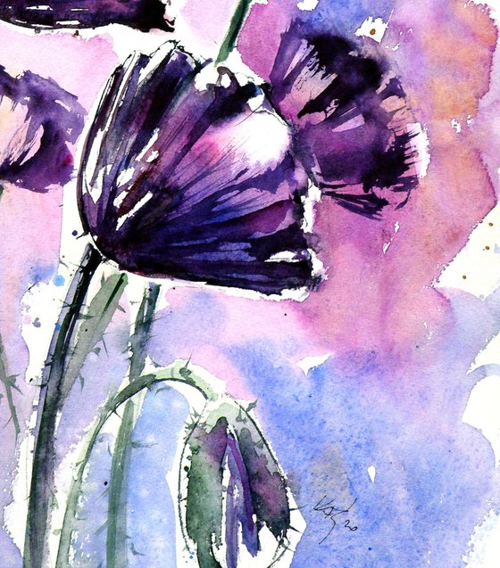 Purple poppies