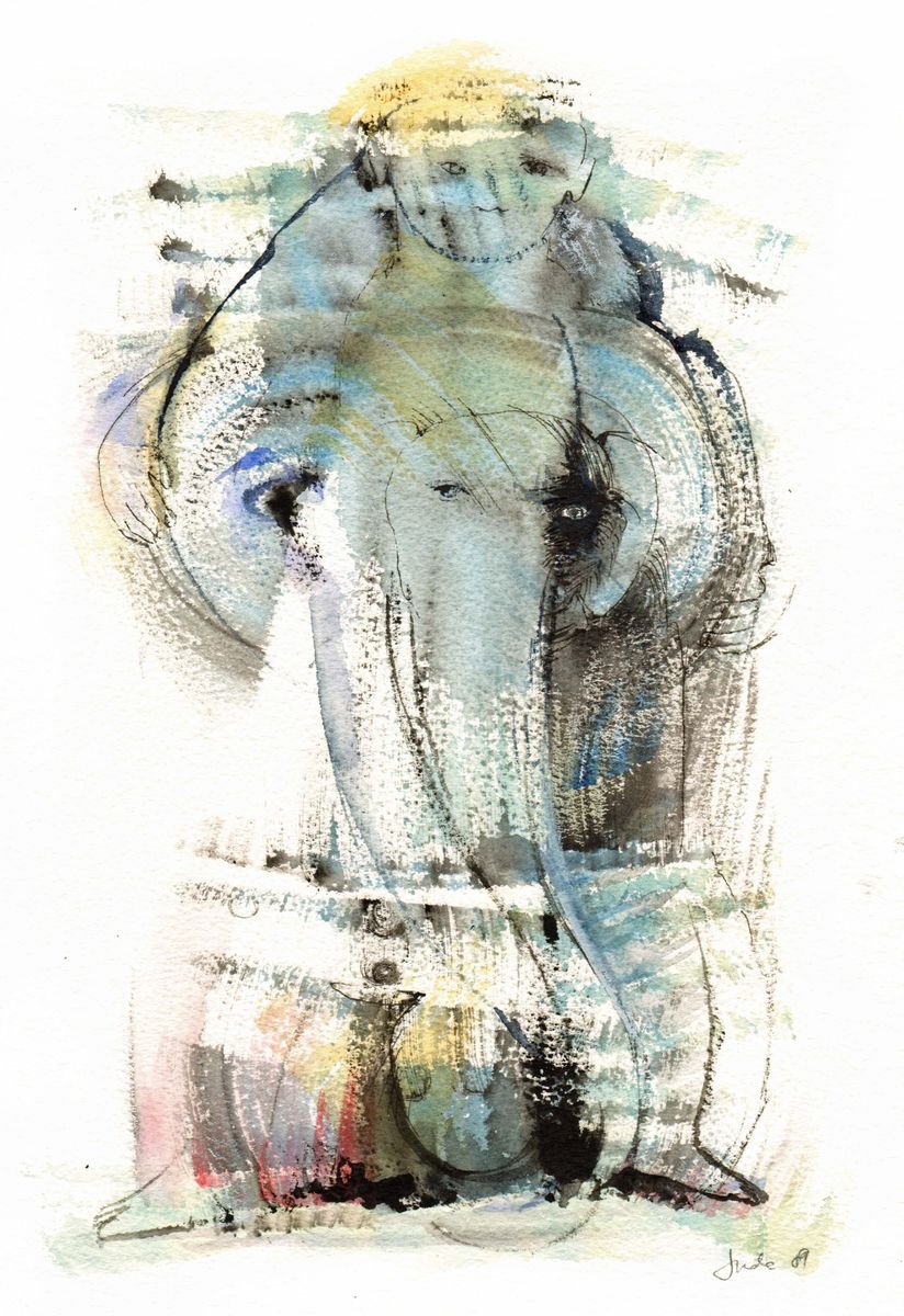 Elephant eye by Jude Berman