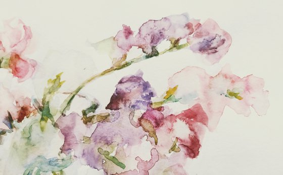 Sweet pea (Inspiration).  Original watercolour painting 2021