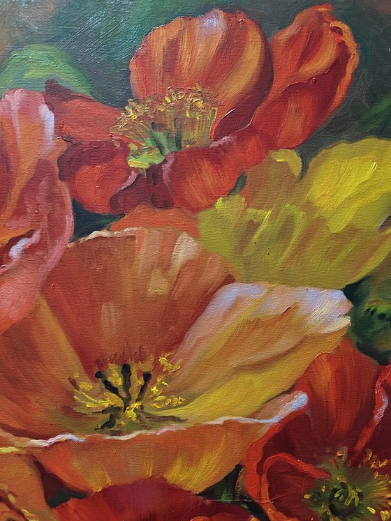 Poppies, Original oil painting