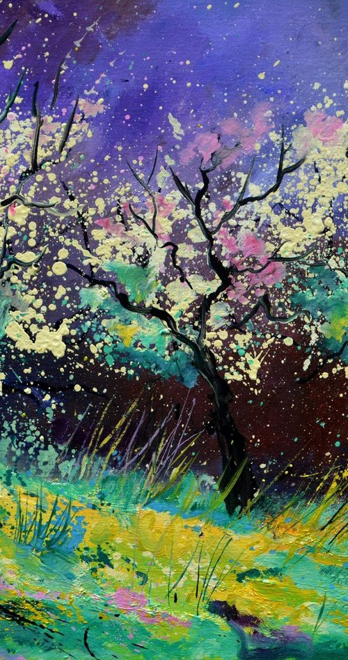 Appletrees in blossom -6523 by Pol Henry Ledent