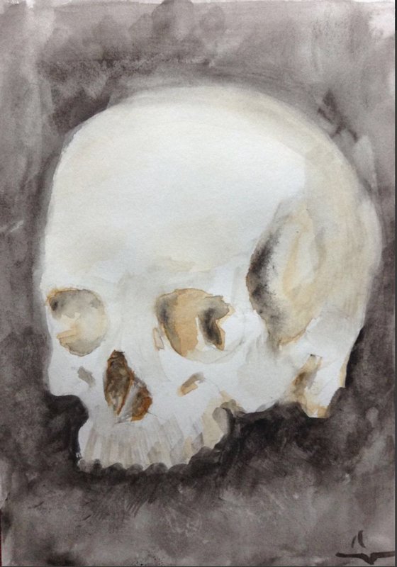 Skull Study