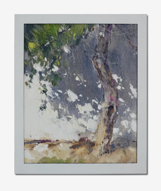 apple tree. shadow (2020)