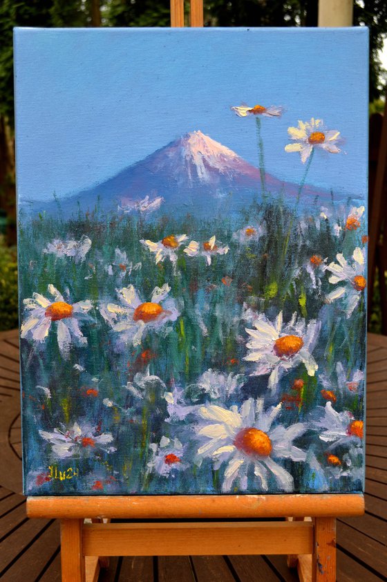 Japanese meadow daisies 40X30