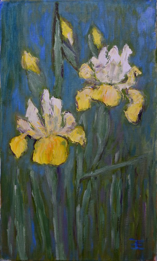 Yellow irises by Elena Zapassky