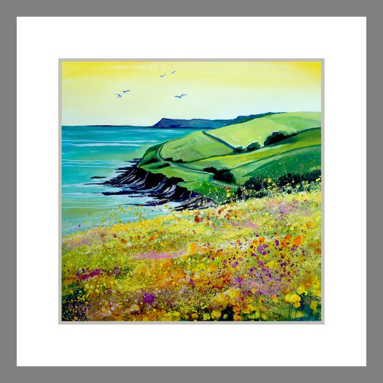 Summer Coast