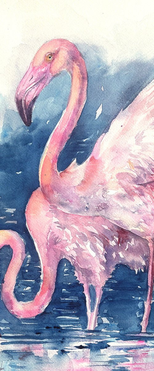 Flamingo Reflections by Arti Chauhan