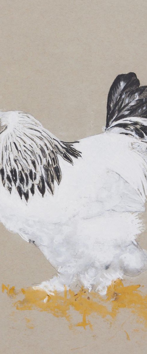 Gallo 3 (Framed) by Carlos Martín