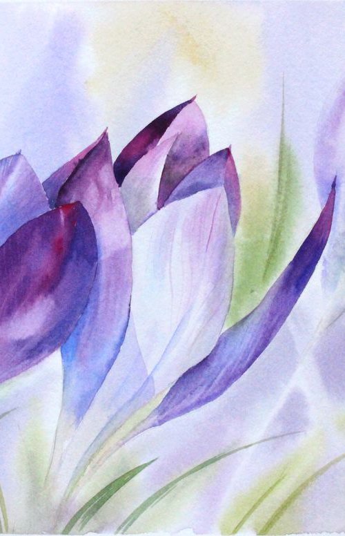 Purple Crocus Bloom by Olga Koelsch