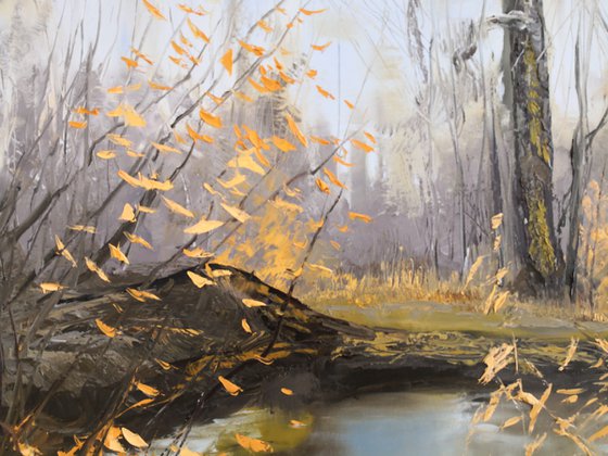 In the autumn forest landscape