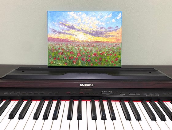 Poppy field at sunset