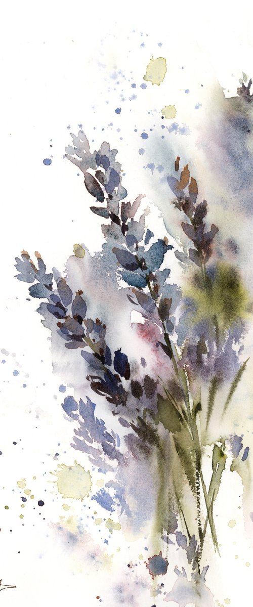 Lavender Flowers by Sophie Rodionov