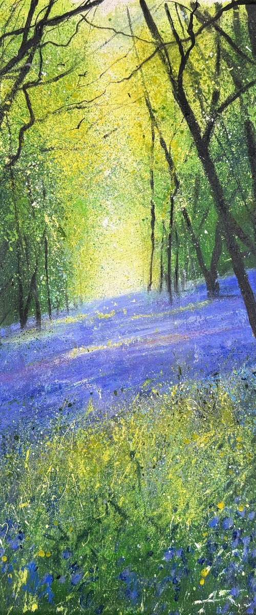 Carpet of Bluebells by Teresa Tanner