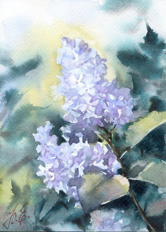 Small painting of lilac flowers in watercolor