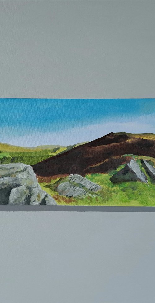 Ramblers by Lee Jenkinson