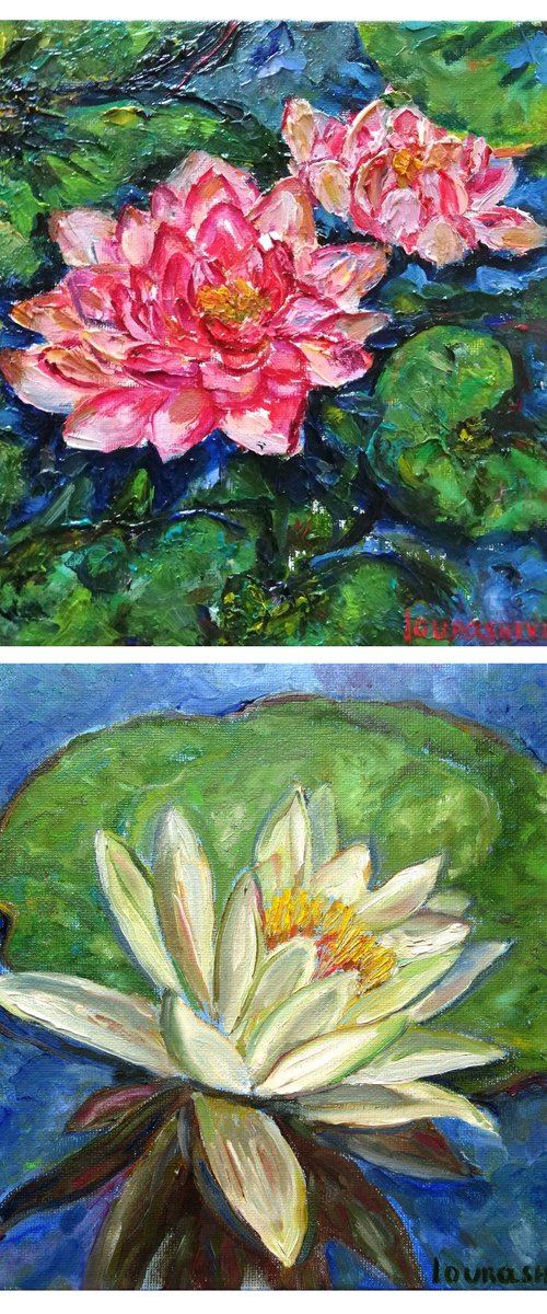 Waterlilies by Katia Ricci