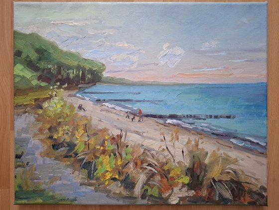 Baltic seashore