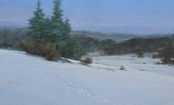 Snowlandscape
