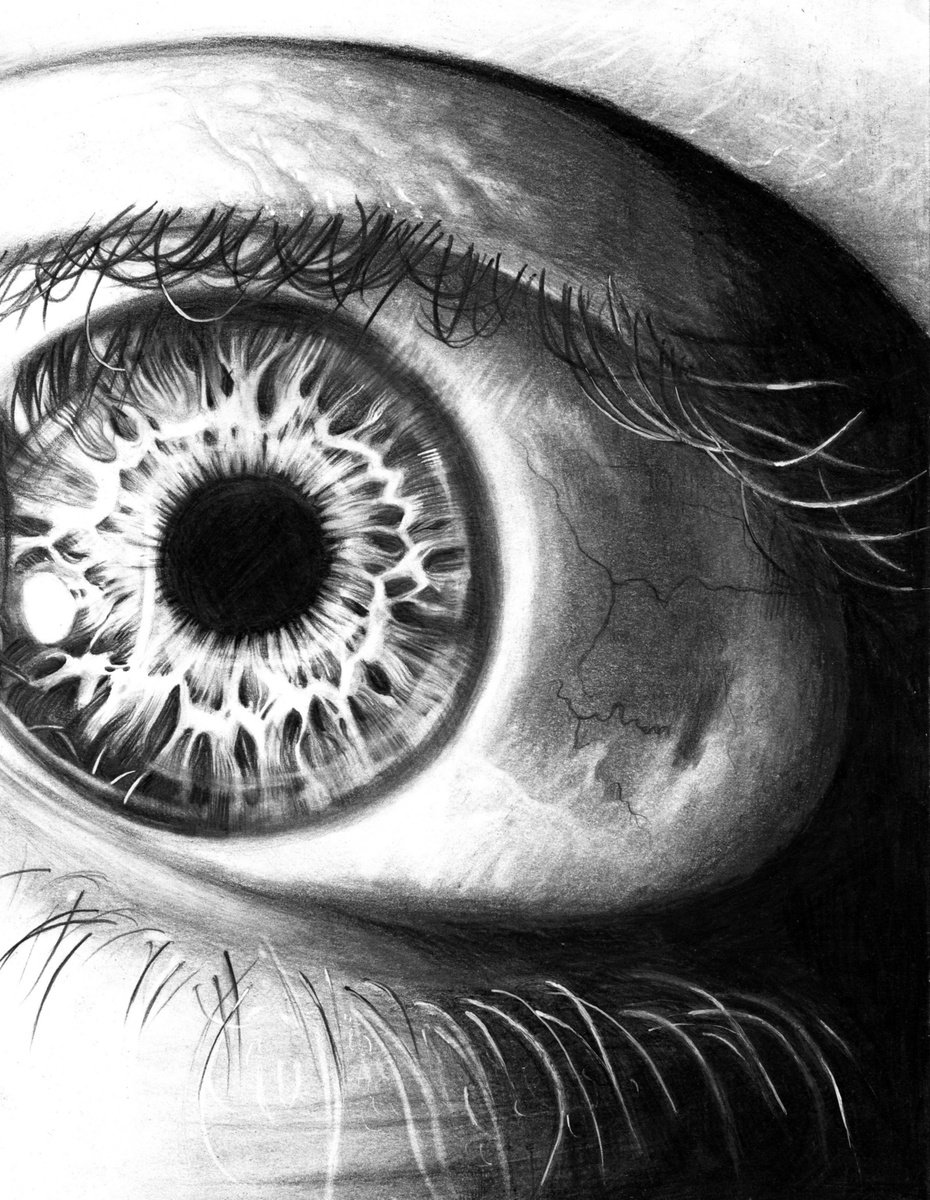 Portrait Pencil Drawing By Anastasia Terskih, 8 X 11, 