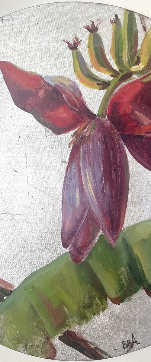 banana flower by Anna Bogushevskaya