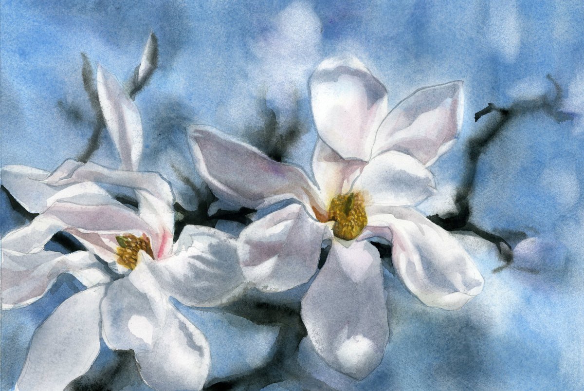 Impressionistic Botanical Watercolour By Alfred Ng, 16 X 11, Morning Magnolia, Original Artwork