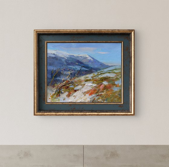 Spring in the Mountains