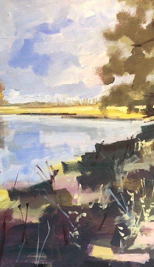 River view, late spring. by Tom Cringle