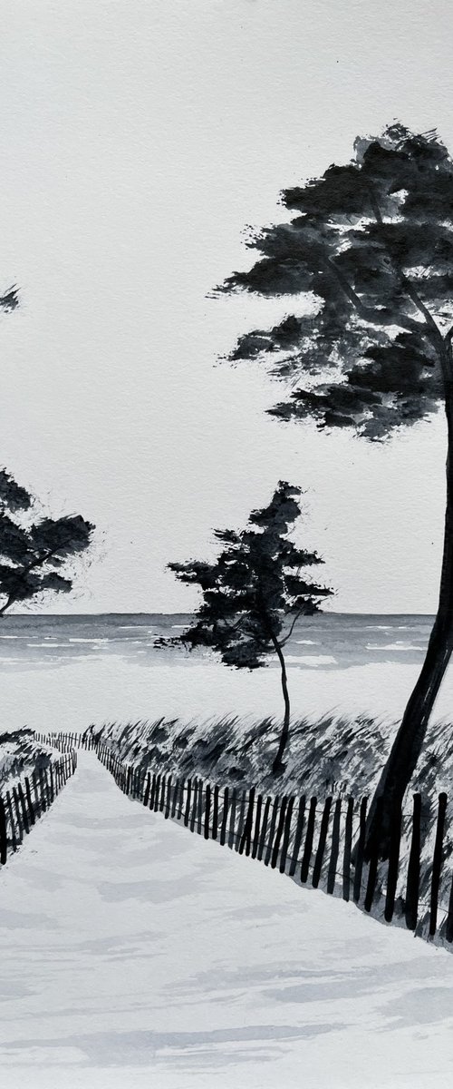 Ganivelles by Cadiou Frederic