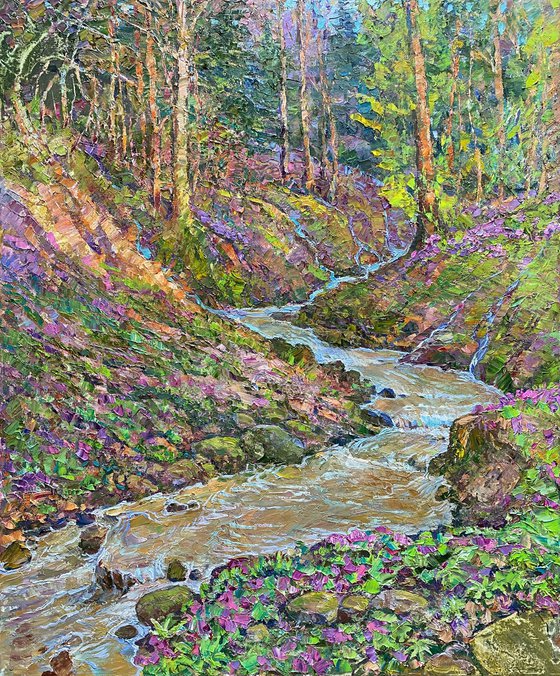 Springs of a mountain stream