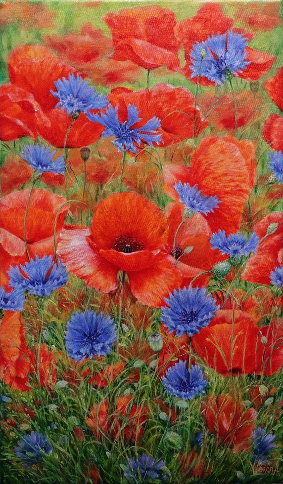 Poppies with Cornflowers.