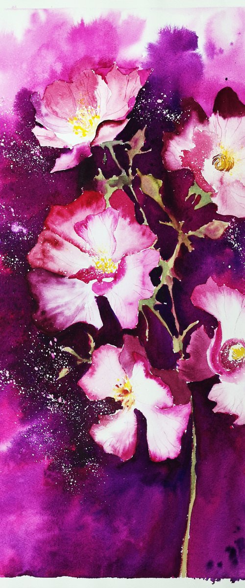 Purple Peony by Aneta Gajos