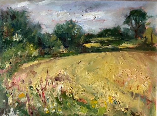 Wheat Fields by Zoë Day
