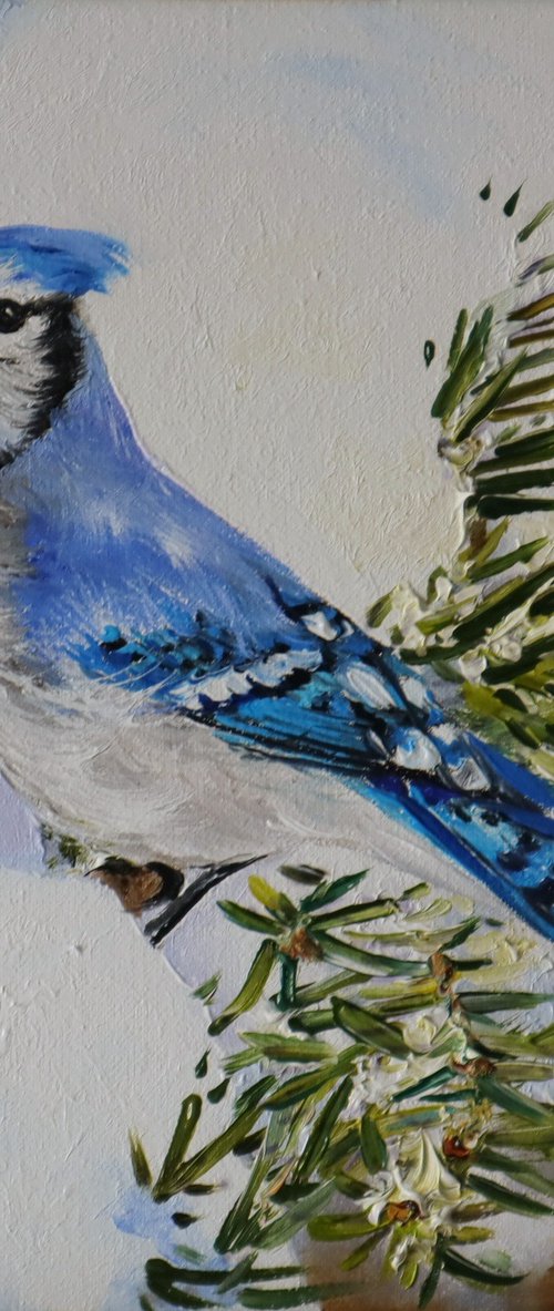 Jay Bird, Bluebird Small Art by Natalia Shaykina