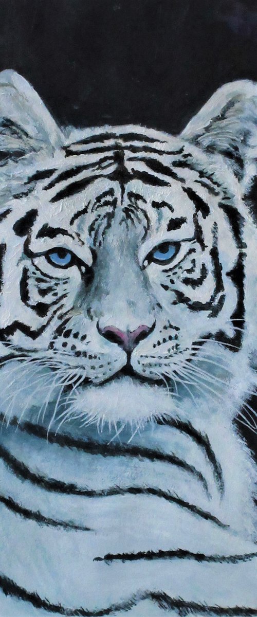 White Tiger 1 by Max Aitken