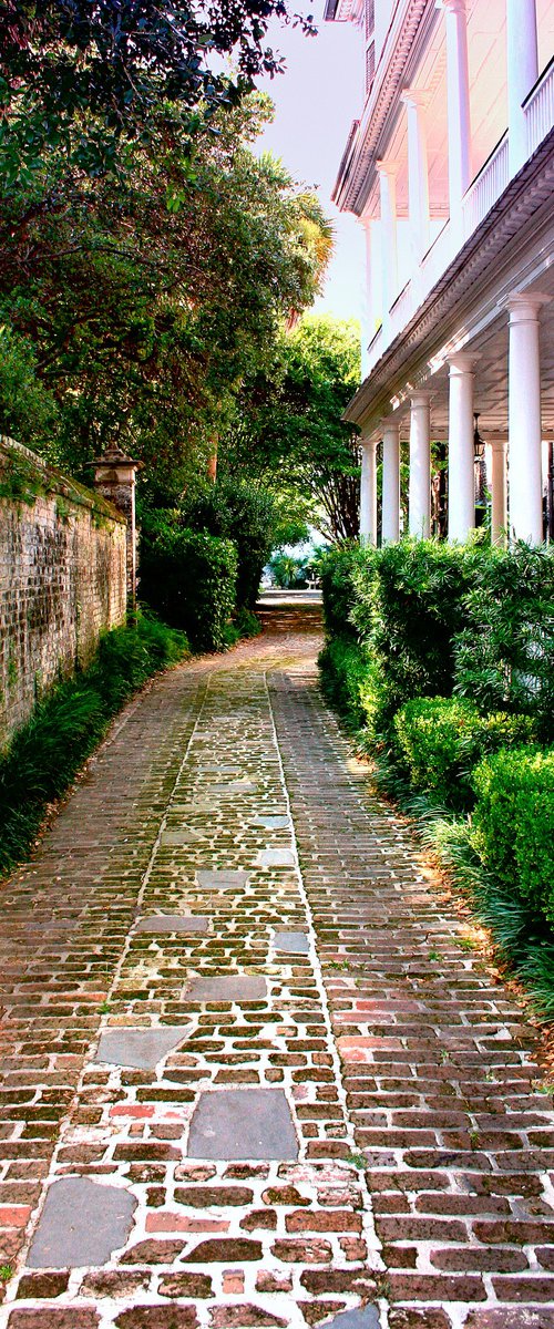 EARLY MORNING WALK Charleston by William Dey