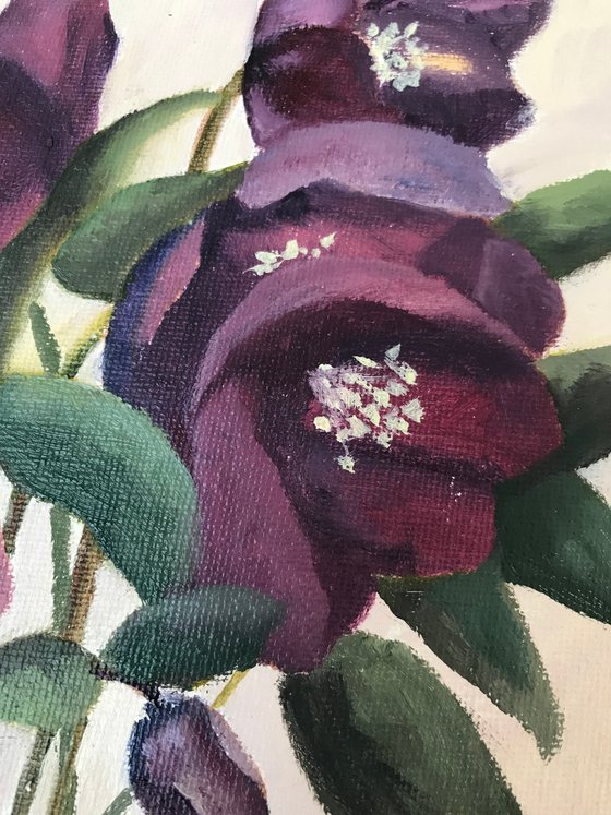 Hellebores in Oil