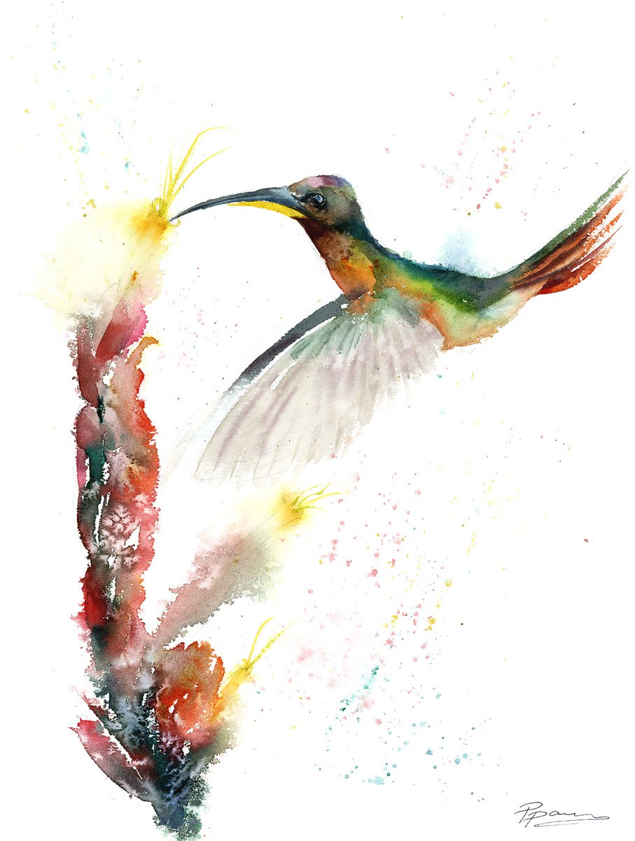 Flying Hummingbird by Olga Shefranov (Tchefranova)