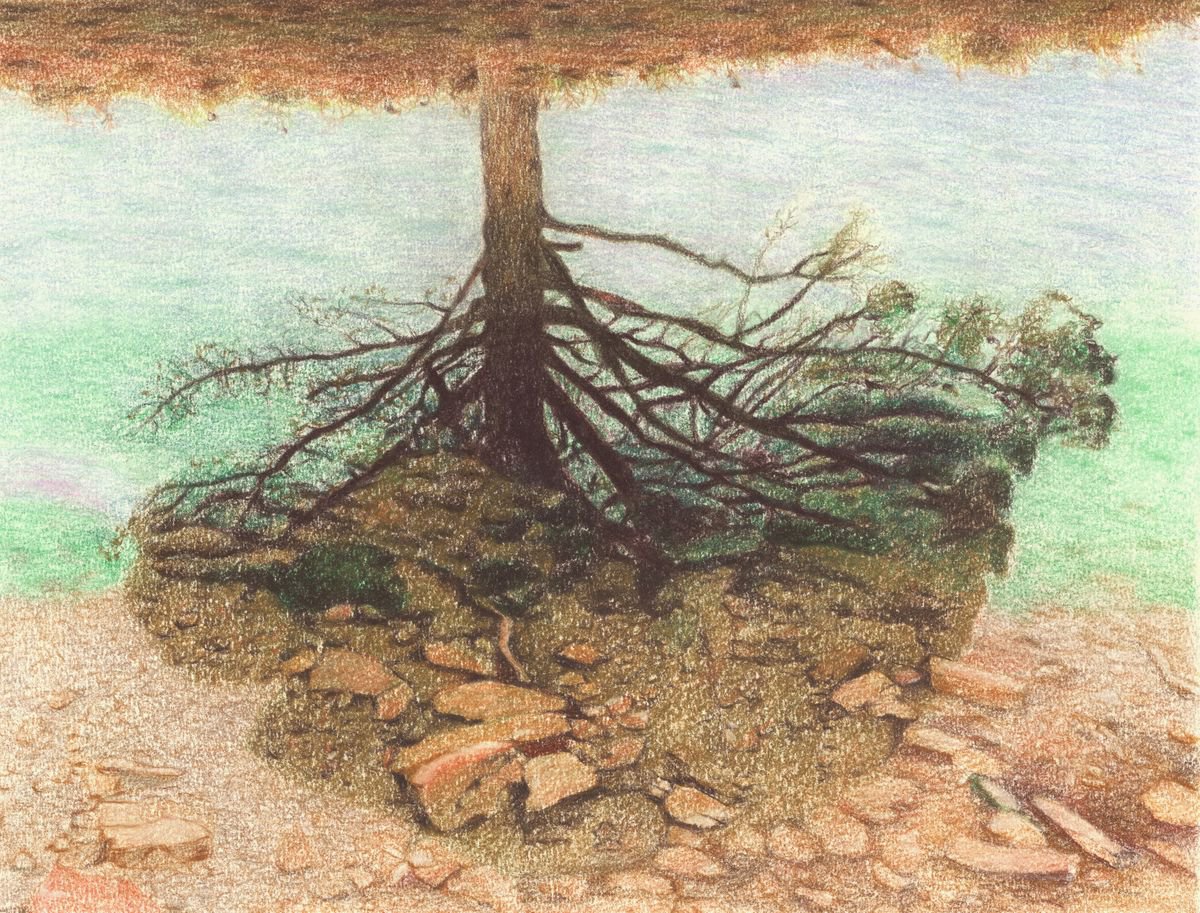 Photorealistic Landscape Pastel Drawing By Nives Palmic, 17 X 12", Reflection, Original Artwork