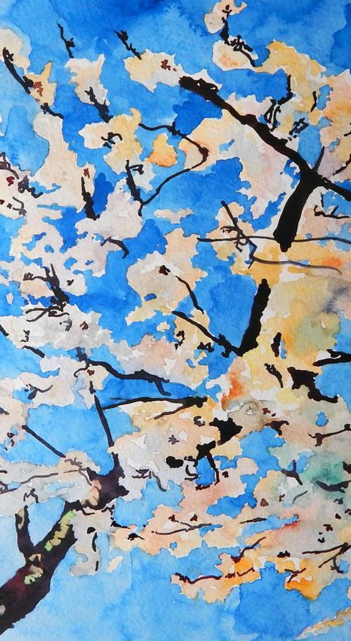 Cherry Blossom watercolour study by Richard Freer