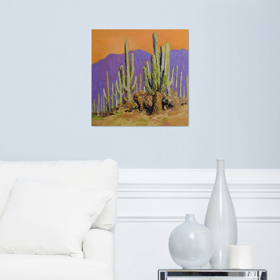 Saguaro. Desert Evening