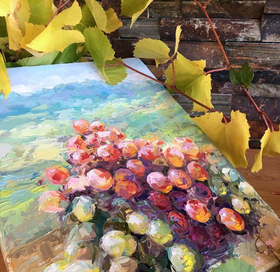 "Bunches of grapes"