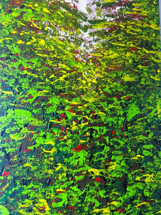 Nice Forest 1